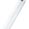 Лампа люминесцентная L 36W/830 LUMILUX 36Вт T8 3000К G13 смол. OSRAM 4058075692954